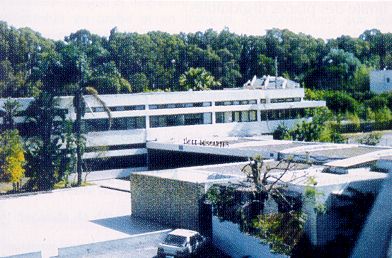 lycee90.jpg (35608 octets)