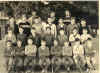 5_t .jpg (333536 octets)